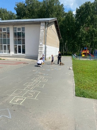  «Социальное аниматорство» 